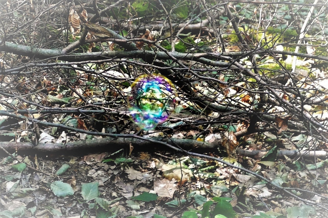 P1620409 - Kopie (2).JPG