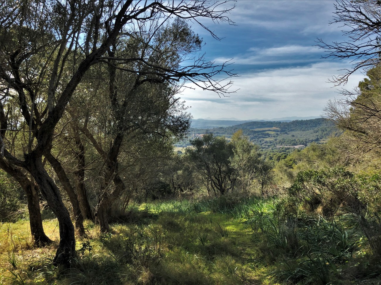 IMG_5539 - Kopie.JPG